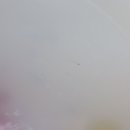 1609fk_01