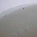 110519DP30