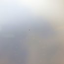 110519TF33