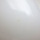 140526LH1