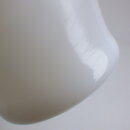 2009fk_36