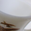 2009fk_36