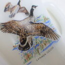 2009fk_37