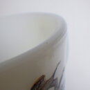 2009fk_38