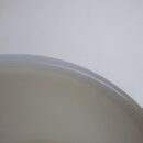 2009fk_38