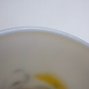 130430HO01ha_21