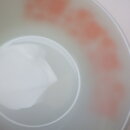 130505V15fk_81