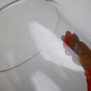 2009tab_116