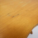 2009fur_12