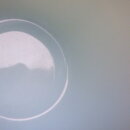 120914SF112fk_119