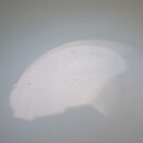 130516SF52fk_116
