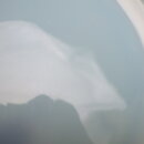 1509fk_113