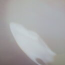 1909fk_126