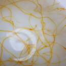 100512WC61ha_41