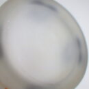 100511LF3mg_01