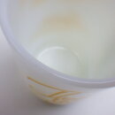 2009fk_166