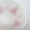 071020NBha_55
