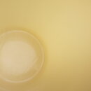 130511SR5fk_199