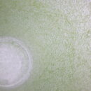 2105sp_19