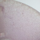 2105sp_21