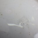2105tw_03
