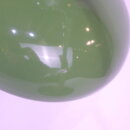 2210euligh_21