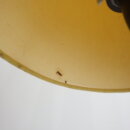 2210euligh_005
