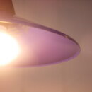 2210euligh_015