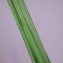 2305gfv_025