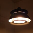 2310euligh_061
