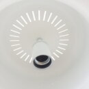 2310euligh_096