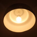 2310euligh_096