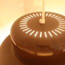 2310euligh_096